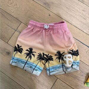 Kids Palm Tree Ombre Shorts